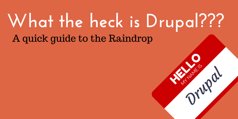What The Heck Is Drupal? What The Heck Is Drupal?
