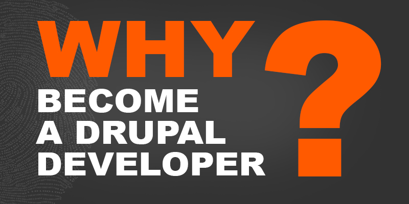 Why Become a Drupal Developer Why Become a Drupal Developer